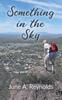 Книга Something In the Sky