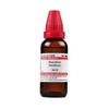 Dr. Willmar Schwabe India Bismuthum Metallicum Dilution - 30 CH - 30 Ml