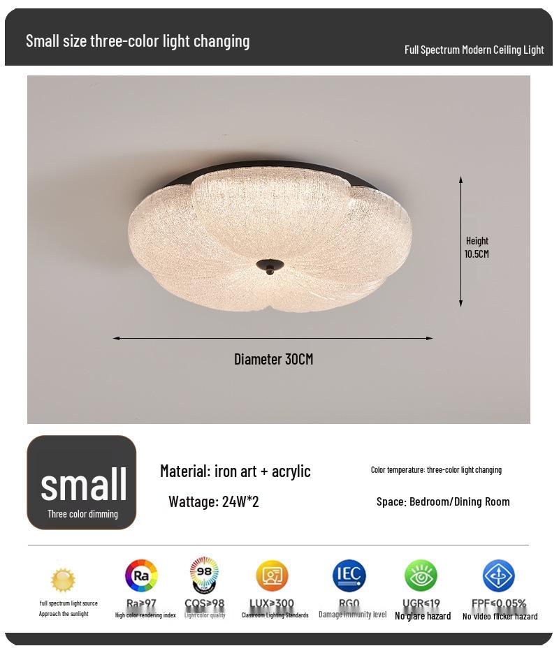 2025 Modern Minimalist Petal Ceiling Light - Luxury & Eye-Friendly for Children's Bedroom
