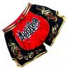 MMA Shorts Men Women Boxing Muay Thai Kickboxing Training Fight Gear Lightweight Athletic