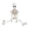 Хэллоуин Скелет Фигурка Подвижные Сочленения Человеческая Модель Скелет Статуя Скульптуры Домашний Офис Настольное Украшение Орнамент