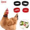 2Pcs Chicken Collar Nylon Anti-hook Noise Free Ducks Geese Poultry Neck Strap