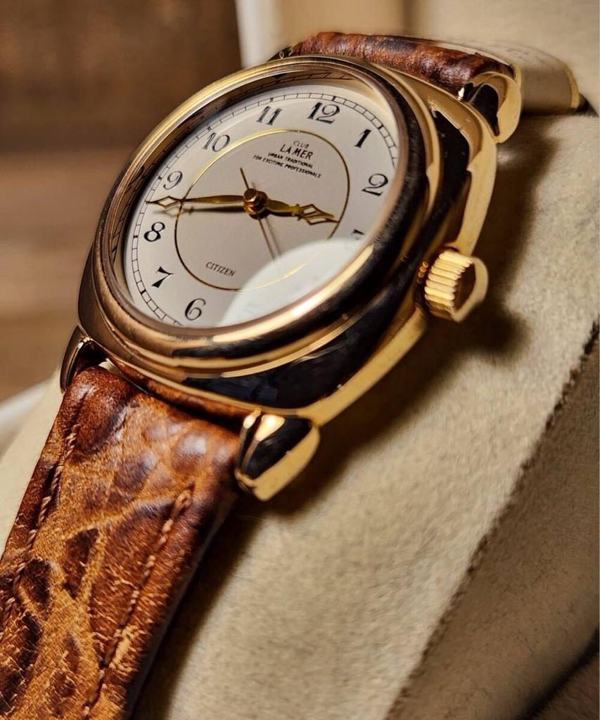 Citizen Антикварные CLUB LA MER THE Винтажные, наручные часы