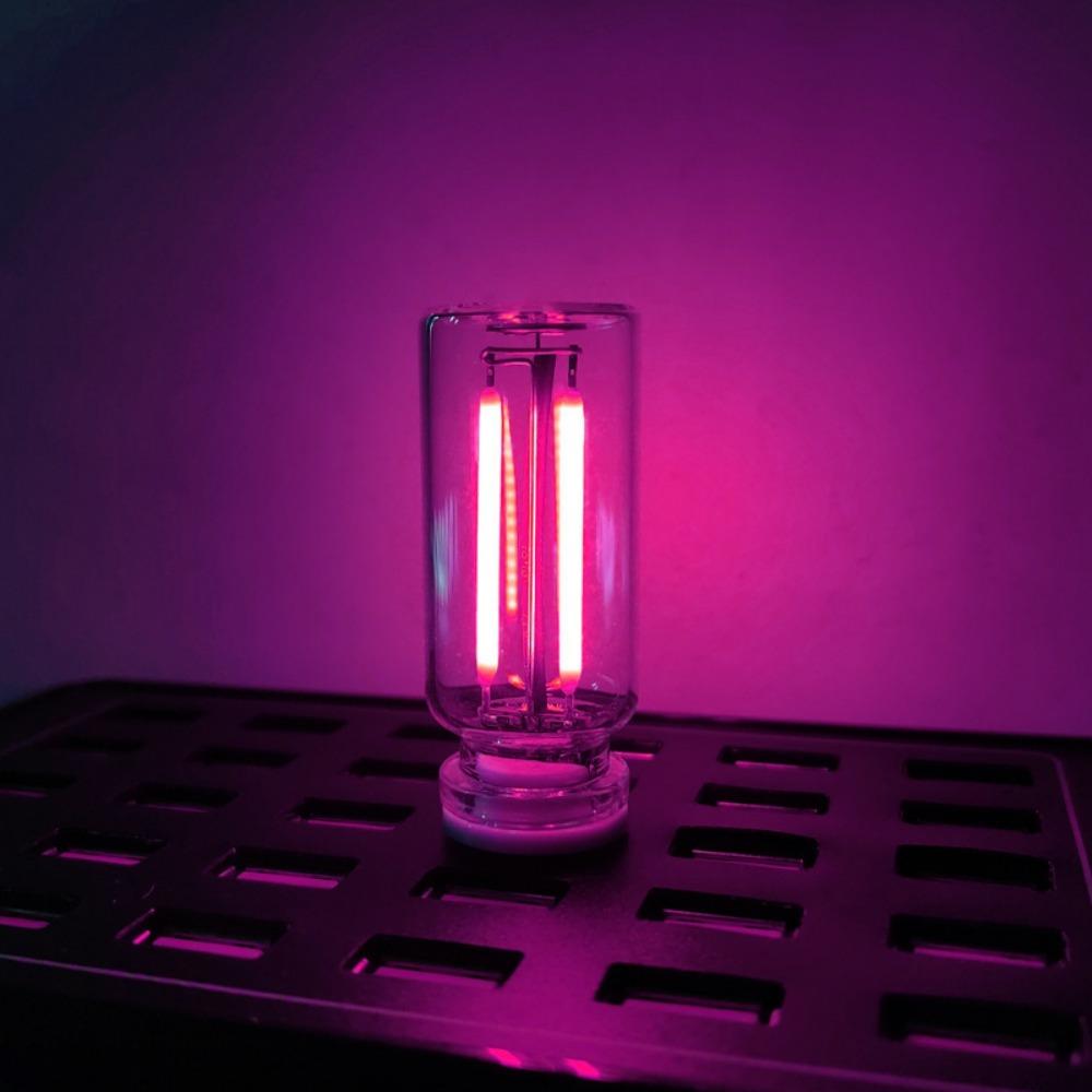 2Pcs Glass Material LED Filament Glass Bulb Eye Protection Retro Edison Bulb  Interior Decoration