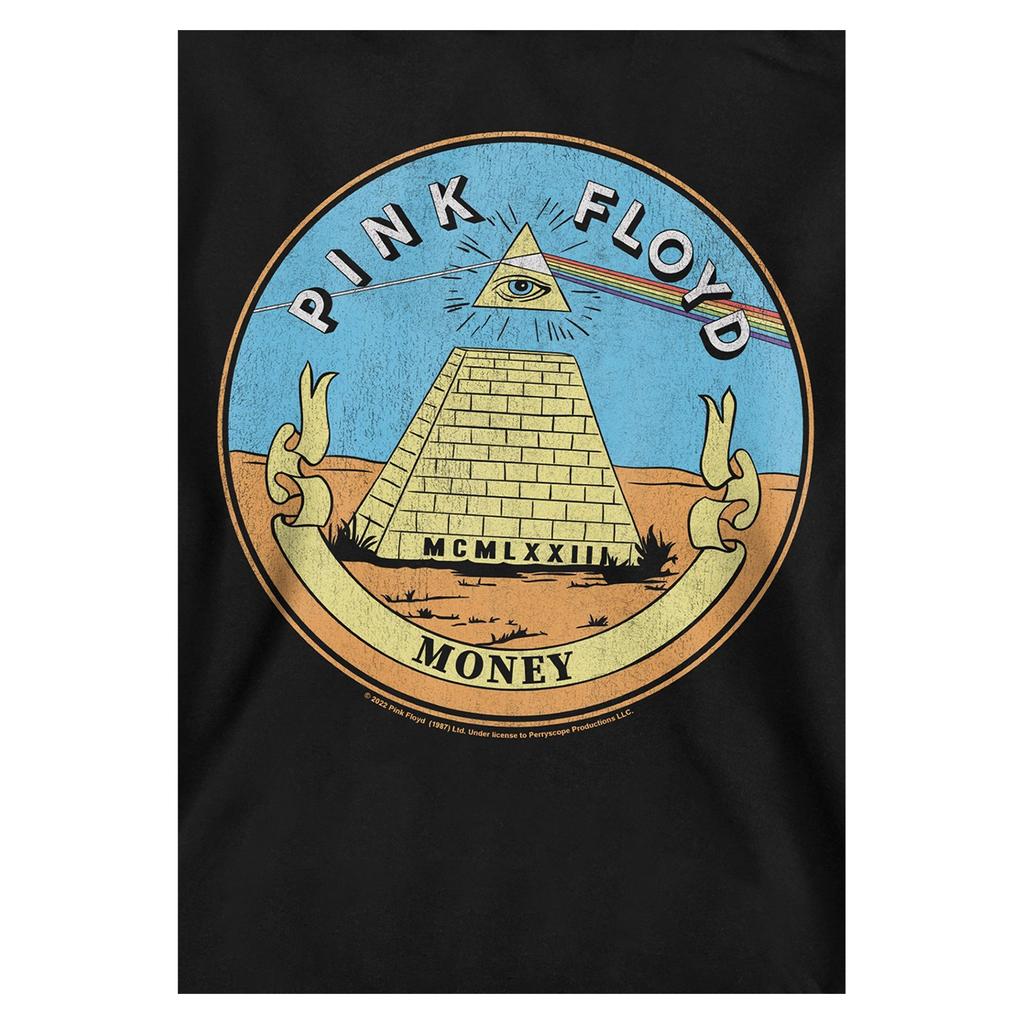 Pink Floyd Childrens/Kids Money Seal Hoodie