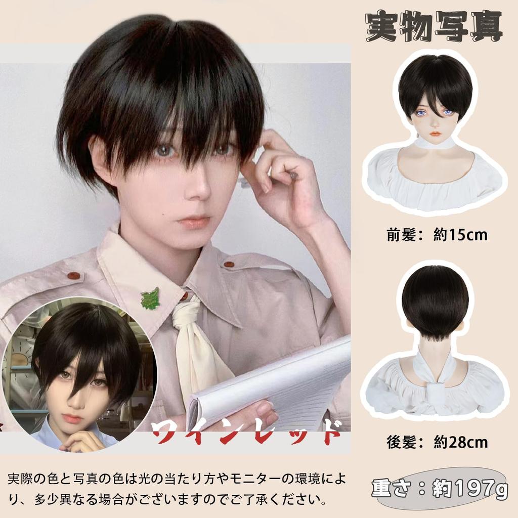 Sofeiyan Full Heat Small Commuting Wig, мужской, короткий, мужская одежда, Harajuku, парик, натуральный, устойчивый, лицо, популярный, красивый, модный, унисекс,