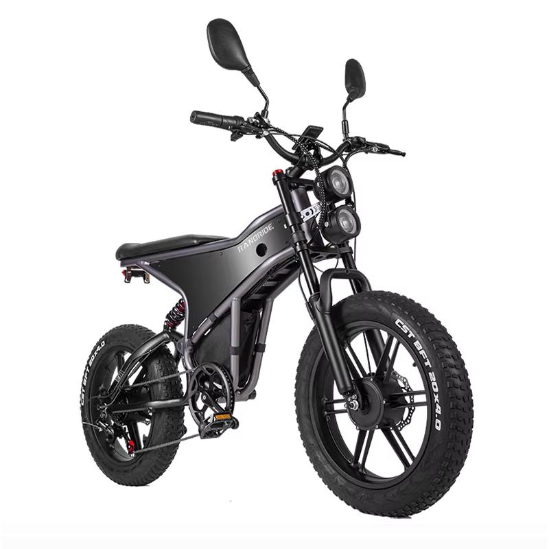 RANDRIDE DM711 электрический велосипед 20 дюймов толстые шины велосипед складской ЕС двойной мотор 500 Вт*2 20 Ач электрический мотоцикл для бездорожья двойные дисковые тормоза