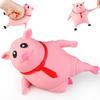 Милая Пигги Сквиши Свинка Игрушка-Сжималка для Снятия Стресса, Игрушки-Сжималки Свинка от Тревоги, Забавная Растягивающаяся Животная Сплат-Игрушка для Аутизма и СДВГ, Игрушка для Декомпрессии