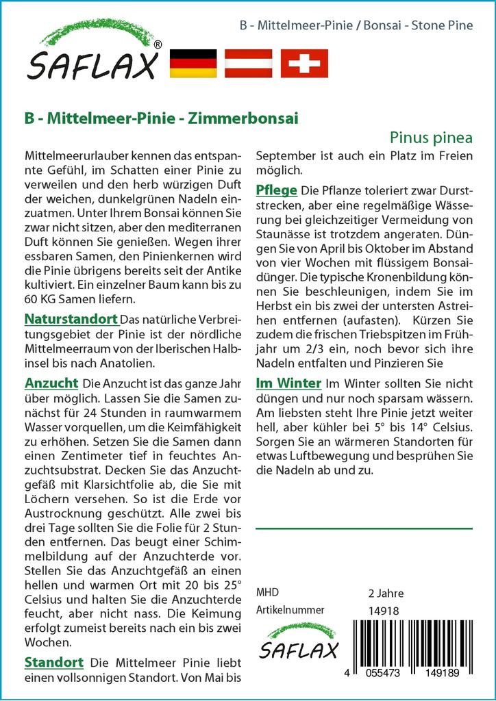 SAFLAX Garden in the Bag - Бонсай - Кедровая сосна - 6 семян - С субстратом в подходящем мешке-стойке - Pinus pinea