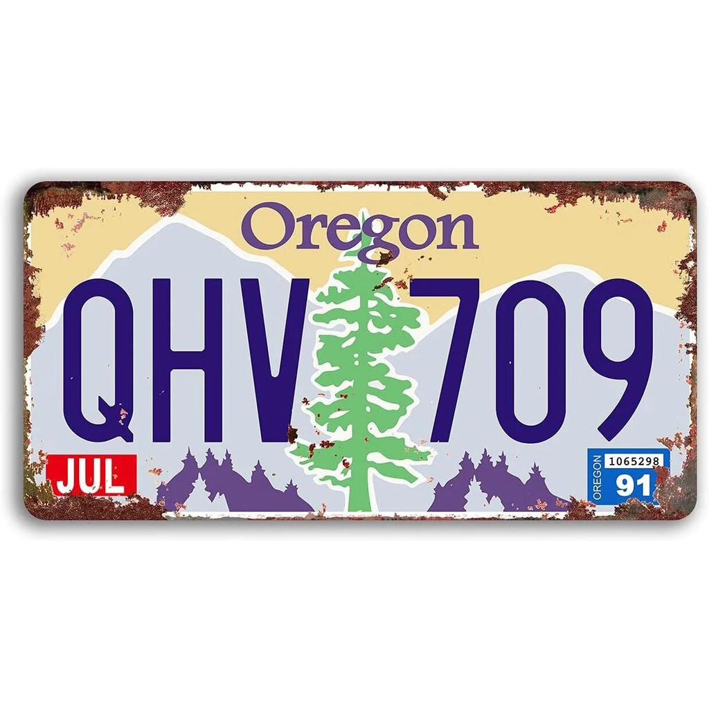 License Plate USA Retro Car Metal License Plate Novelty Wall Decoration Auto License Plate Signs Front Cover Garage Cafe Pub Bar