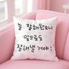 Creative Art Korean Luck Comes to Me Cushion Cover Pillow Case Soft Skin Friendly Fabric  Concealed Zipper