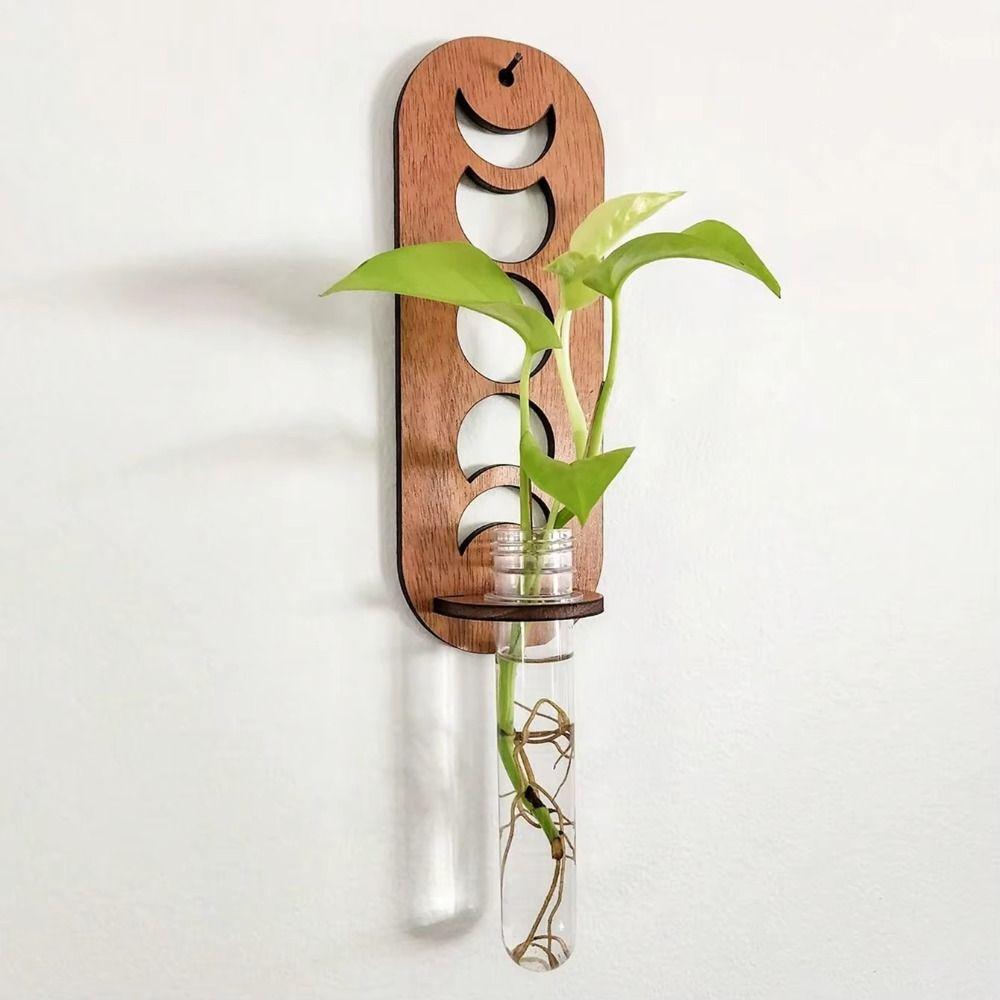 Подставка для растений Настенная ваза Гидропонный контейнер Подвесной кашпо Декор для дома/офиса