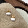 Brushed Earrings New Trendy Light Luxury Niche Design Sense Exquisite Women's High-end Temperament Stud Earrings