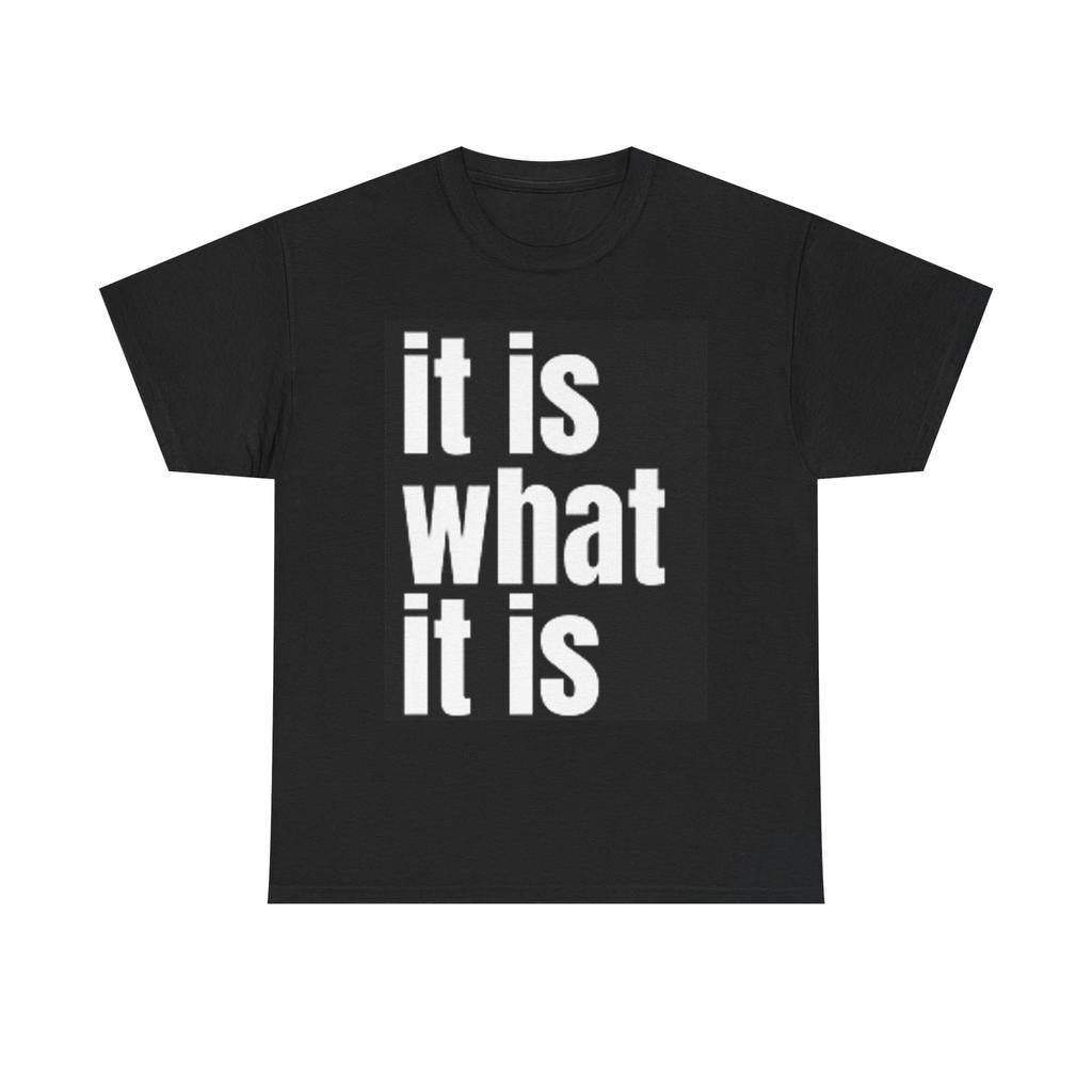 Men's and Women's T-shirts It is What It Is Funny Graphic