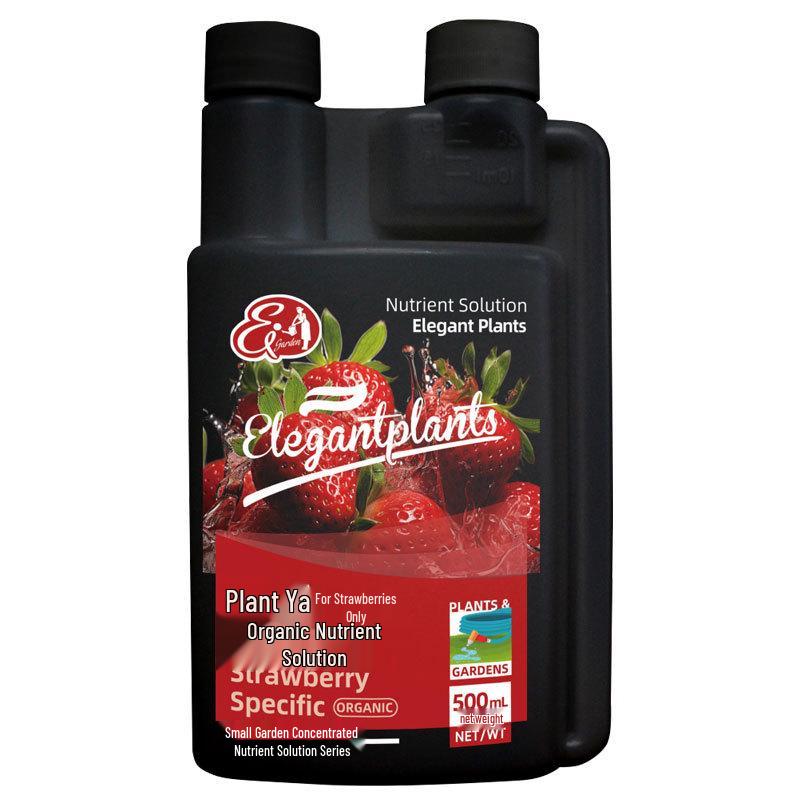 Organic Water-Soluble Strawberry Fertilizer for Potted and Soilless Plants (Slow-Release Concentrated Nutrient)