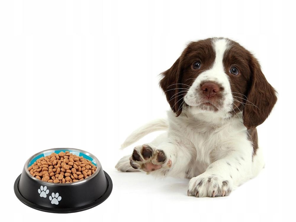Dog Bowl Two Paws 22 (200) Gab_A