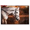 Vintage Horses Plaque Metal Tin Sign Retro Bar Home Farmhouse Decor Animal Steed Art Posters Wall Sticke