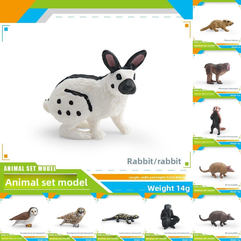 Wildlife Animal Rabbit Armadillo Macaque And Panda Model Collection Pvc Educational Figures For Kids Preschool Learning