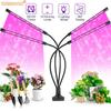 Full Spectrum LED Phytolamp with USB Timer Table Lamp for Growing Plants Vegetables Flowers Seedlings 10W 20W 30W 40W