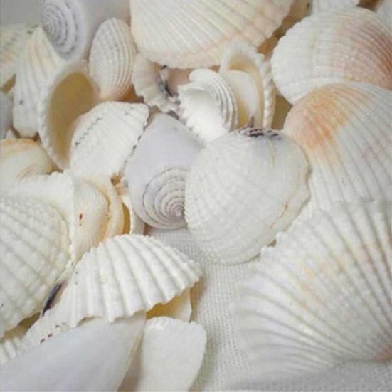 100 г смешанные морские ракушки, ракушки, ракушки для домашнего аквариума, морской декор