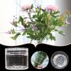 Spiral Ikebana Gulli Poyacha Tutgichi Vaza uchun Uy Qulay Fiksatsiyalangan Guldasta Gul Aranjirovkachisi Dumaloq Teshikli Dizayn Aksessuarlari
