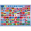 EPOCH [Apollo Picture Puzzle] Illustrated Encyclopedia of Flags of the World, 63 Pieces, Puzzle for Children, 25-227, ST Mark Certification, Includes