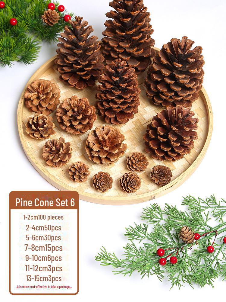 Pine Cone DIY Decoration Kit: Branch, Log, Dried Flowers for Creative Kindergarten Hanging Crafts