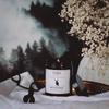 Into the woods - świeca zapachowa sojowa intensywna mięta las ambra 100% - yush - 180ml
