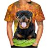 Summer Fashion Hip Hop Dog Graphic T Shirts For Men Personality Casual 3D Harajuku Animal Print Round Neck Short Sleeve Tees Top