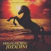 CD РАЗЛИЧНЫЕ - High Horse Riddim DLM056 Dejavu Lifestyl 2010 США Регги, Ска и Даб