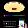 40cm 200W RGB Dimmable Music Ceiling Light 85-265V Home Lighting APP Remote Control Bluetooth Music Light Bedroom Smart LED