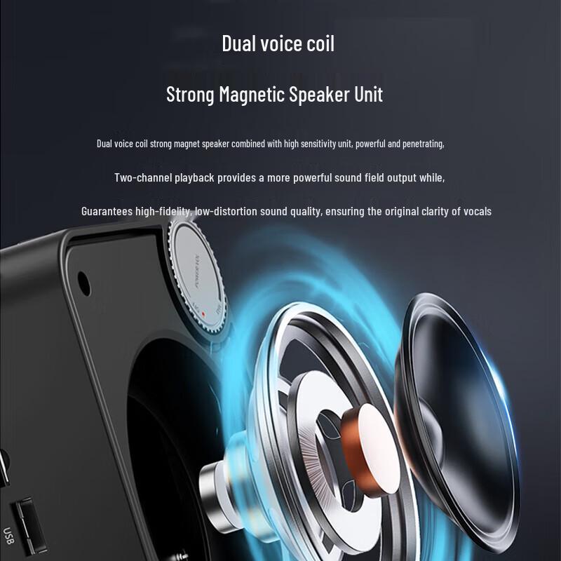 TAKSTAR E500W Wireless Voice Amplifier CN plug (adapter included)