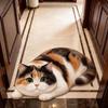 2D Cat-Shaped Area Rug Anti-fouling Cartoon Carpet Cute Home Decor Carpet  Bedrooms