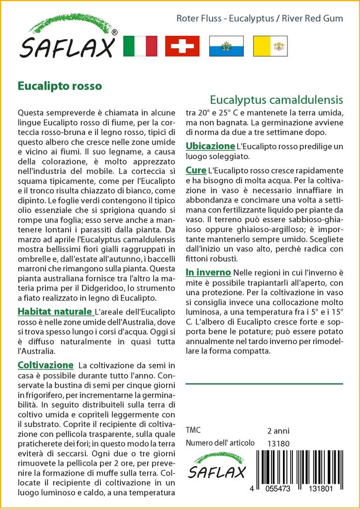 SAFLAX River Red Gum - 200 семян - Eucalyptus camaldulensis