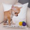 Cute Pet Animal Pillowcase Decorative Cute Puppy Chihuahua Pillowcase Soft Plush Cushion Cover for Car Sofa Home 45x45cm