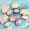 Seashells Hair Clip Large Hair Claw Clip Fashion Elegant Adornment Large Clip Barrettes Hair Styling Tool Ornaments