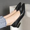 Not Tired Single Shoes Women's Thick Heels Spring and Autumn New Pointed Comfortable Work Shoes Women's Black Versatile Flat Women's Shoes