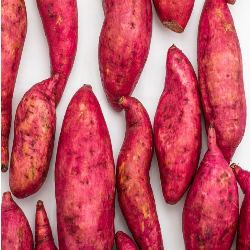 Jayoun Корейские полусушеные палочки из сладкого картофеля, 20 г x 20 порций, корейская еда