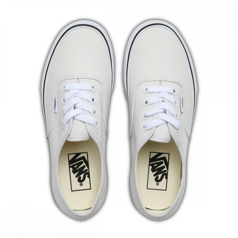 Vans Authentic Vn0a5jmpcoi Theory Cloud
