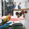 Parrot Natural Wooden Standing Perches Weaving Jute Twine Standing Pole Bird Chewing Toy Cage