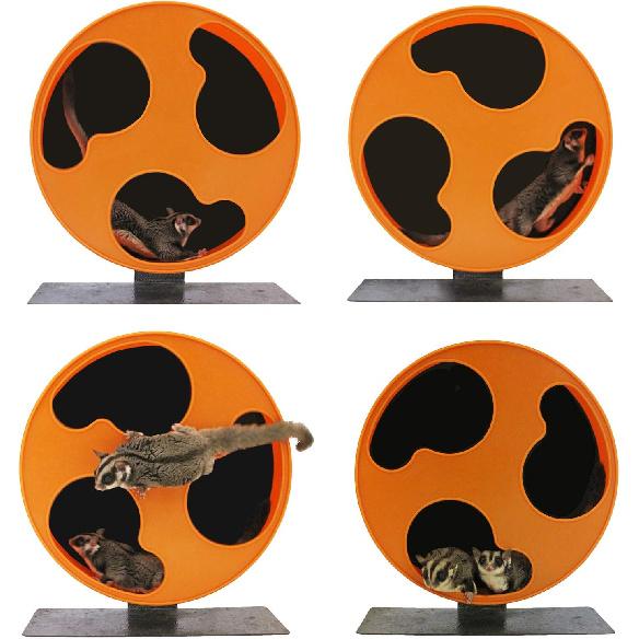 Silent Runner 12" with Autoclean | Sugar Glider Wheel