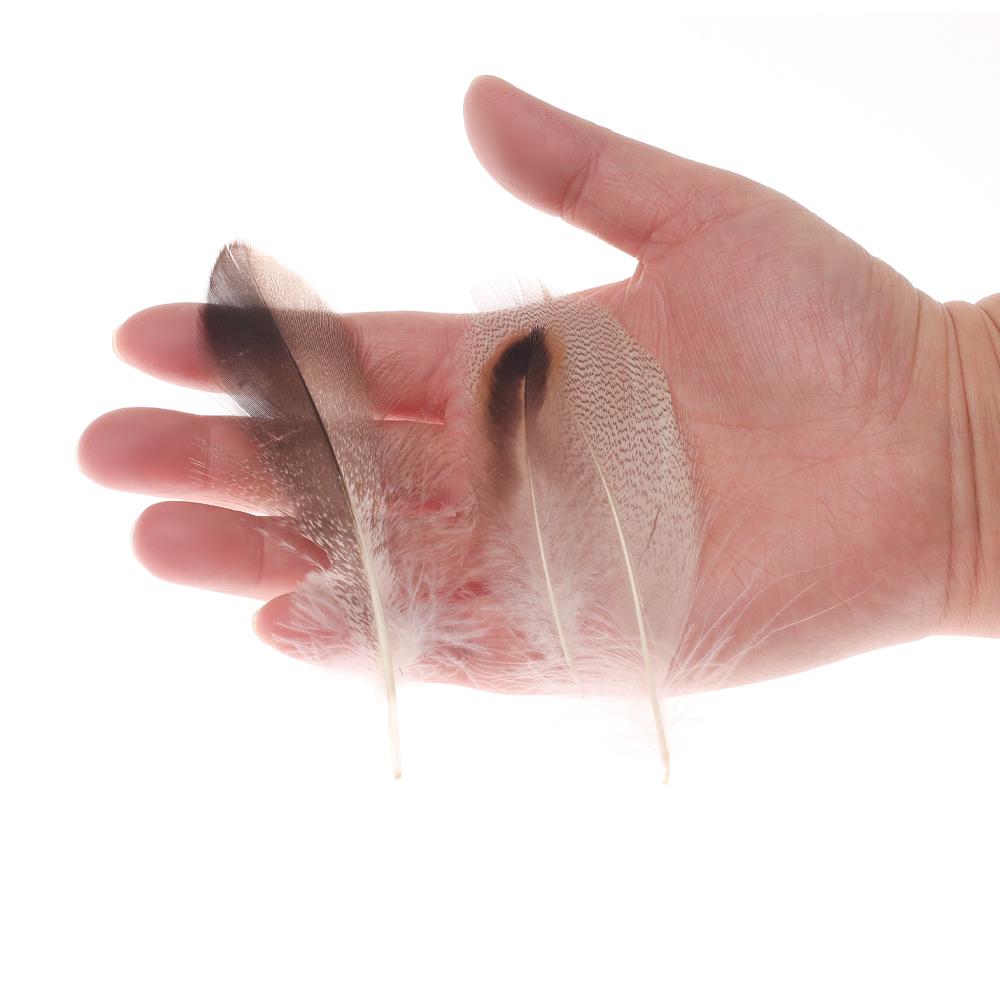 50 шт. натуральных перьев утиной пашины для крыльев, хвостов, стримеров, материала для вязания мушек