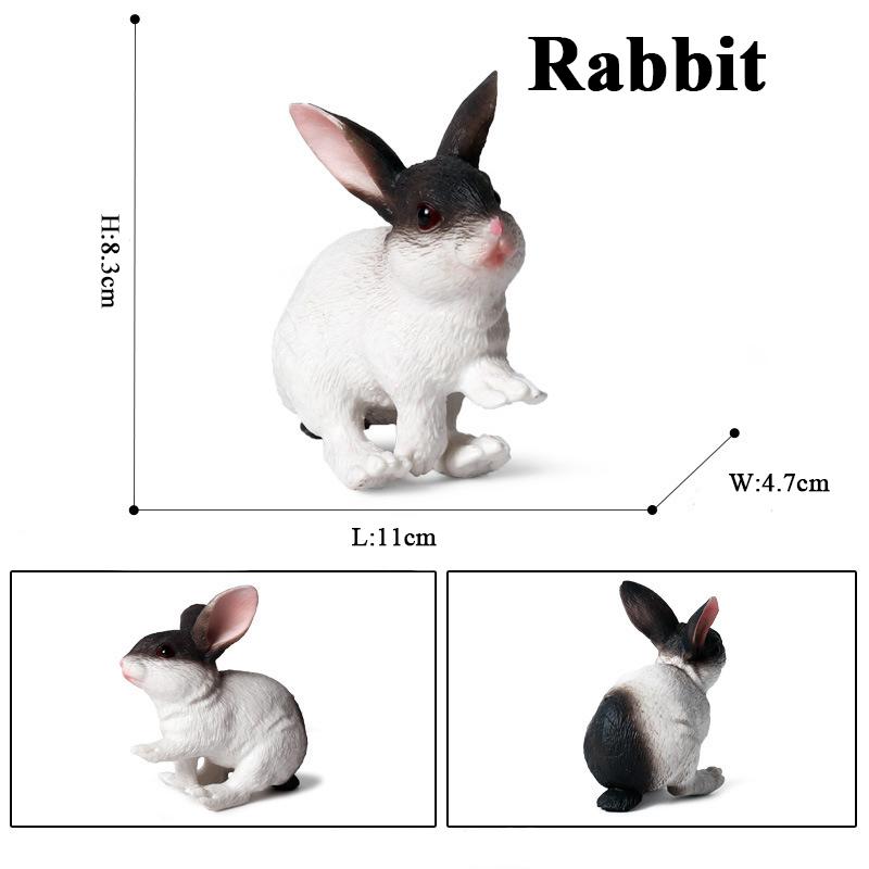 Oenux Lovely Farm Rabbit Bunny Model Action Figure Figurine Wild Desert Cottontail Hare Cute PVC Decoration Education Kid Toy