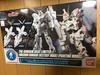 HG Gundam Base Limited Unicorn Gundam 1/144 (Destroy Mode) [Painting Model]