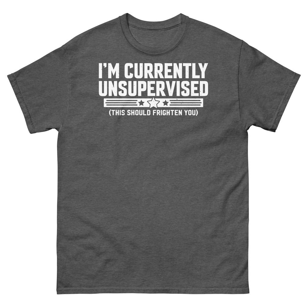 I’m Currently Unsupervised This Should Frighten You Unisex Classic Tee