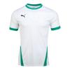 Puma Джерси с коротким рукавом Team Goal 23 Zqj 704171 15