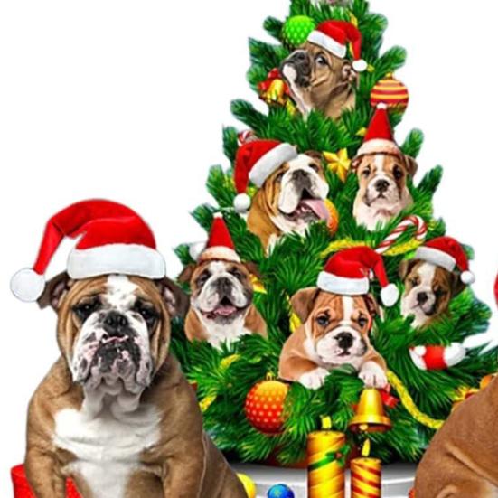 Рождественская подвеска в виде собаки, 2D, плоская акриловая подвесная шапка Санты, собака, кошка, рождественская елка, подвесное украшение для автомобиля, подарок для любителей домашних животных