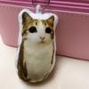 Мяу Кошка Голосовая Плюшевая Брелок-Подвеска Милое Говорящее Мягкое Животное для Сумок Рюкзаков Забавный Подарок для Детей Студентов
