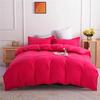 Bed Linens Bedding Sets Nordic Style Duvet Cover Set Quilt Cover and Pillowcase Double Sided Queen King Size