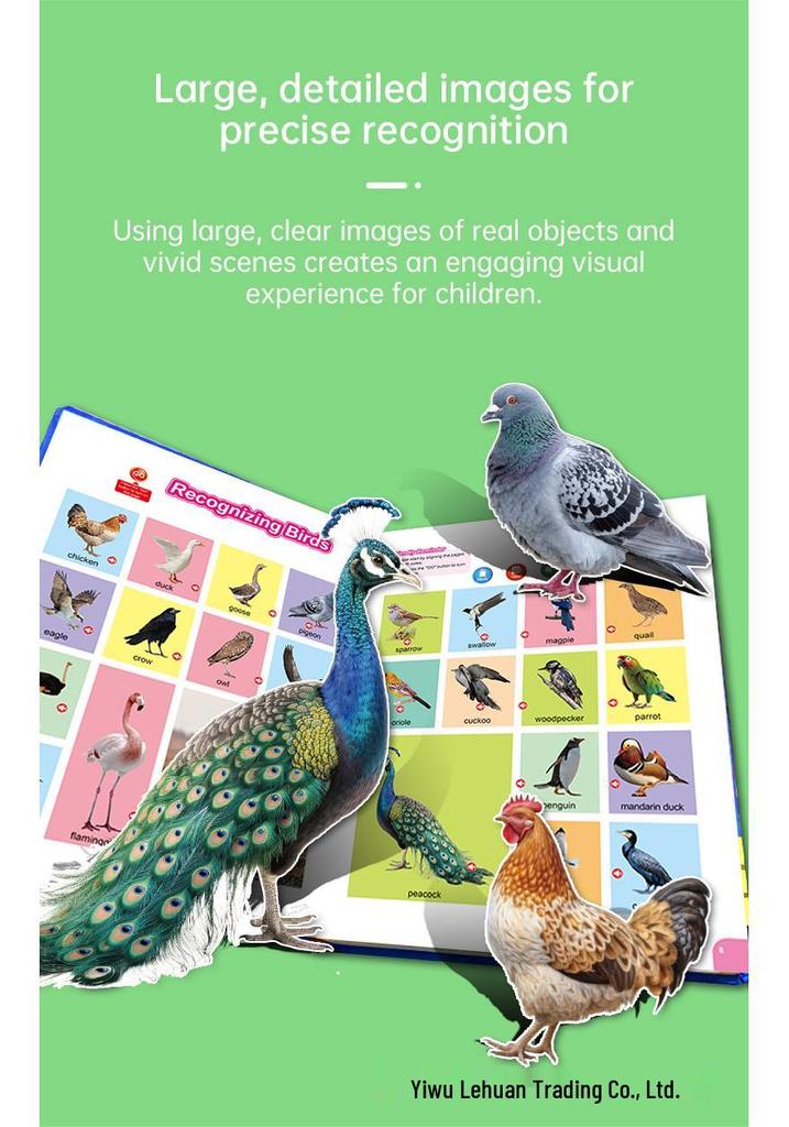Children's English Learning Sound Book - Interactive Early Education Toy